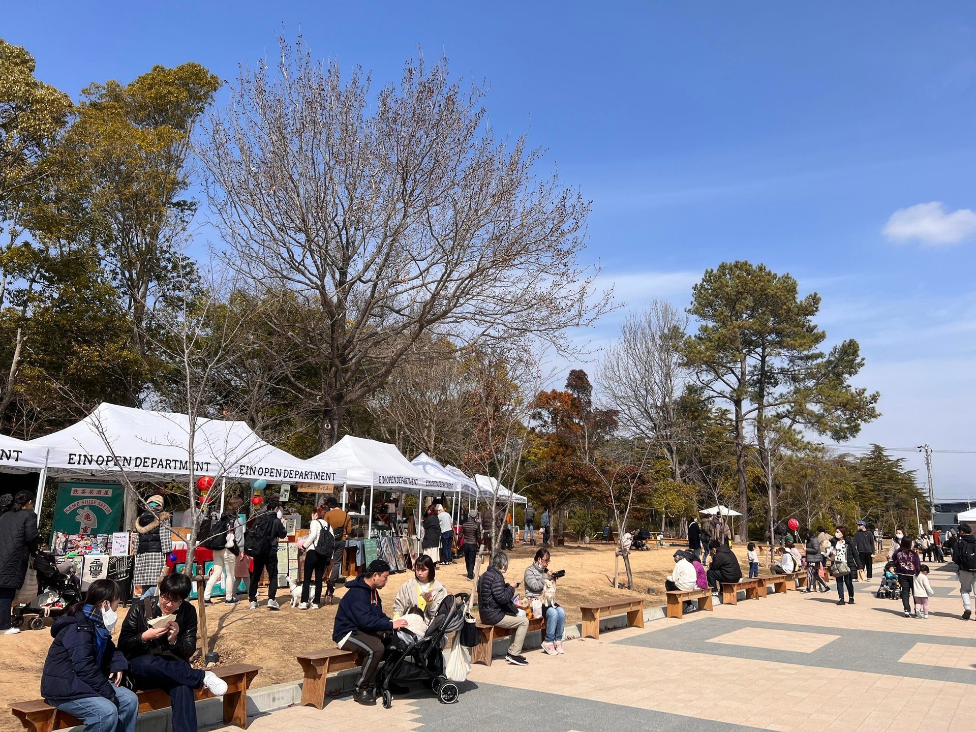 朝市会場のシェアベンチ